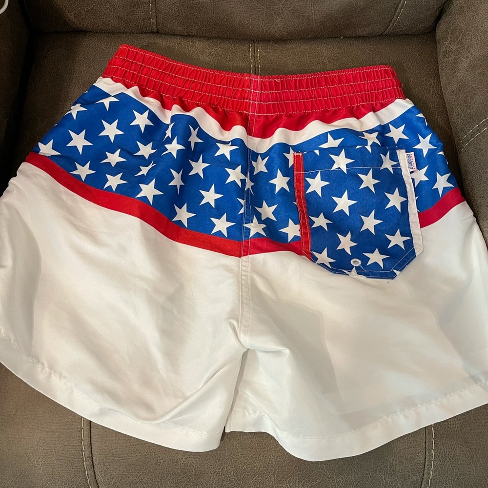 Chubbies swim shorts